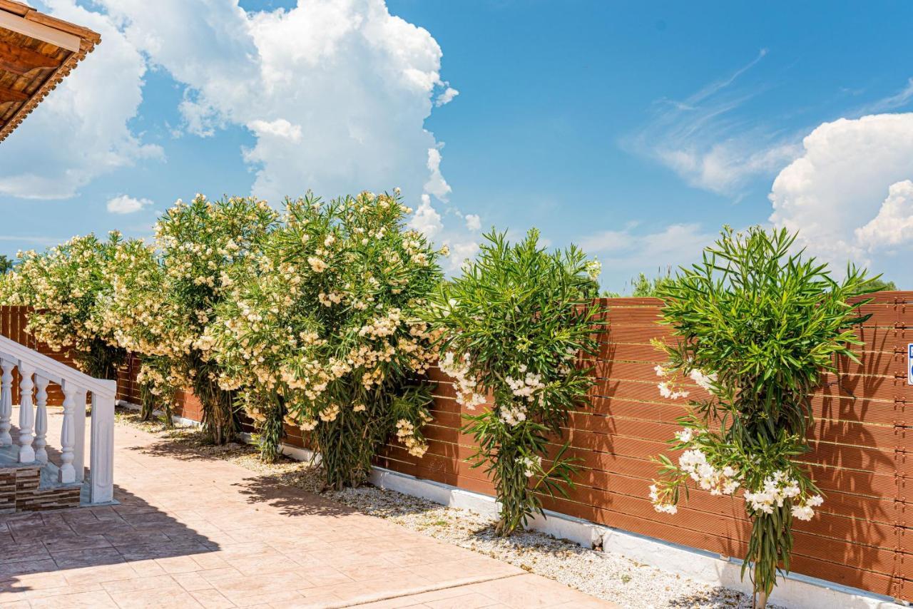 Blossom Villa Laganas Bagian luar foto